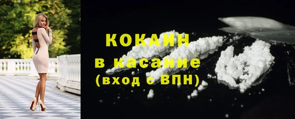 мдпв Магас
