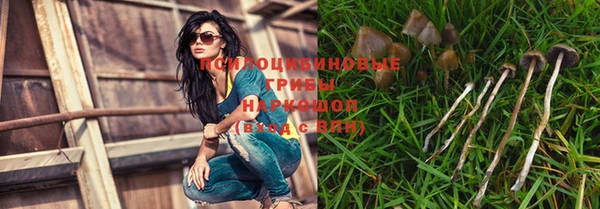 мдпв Магас